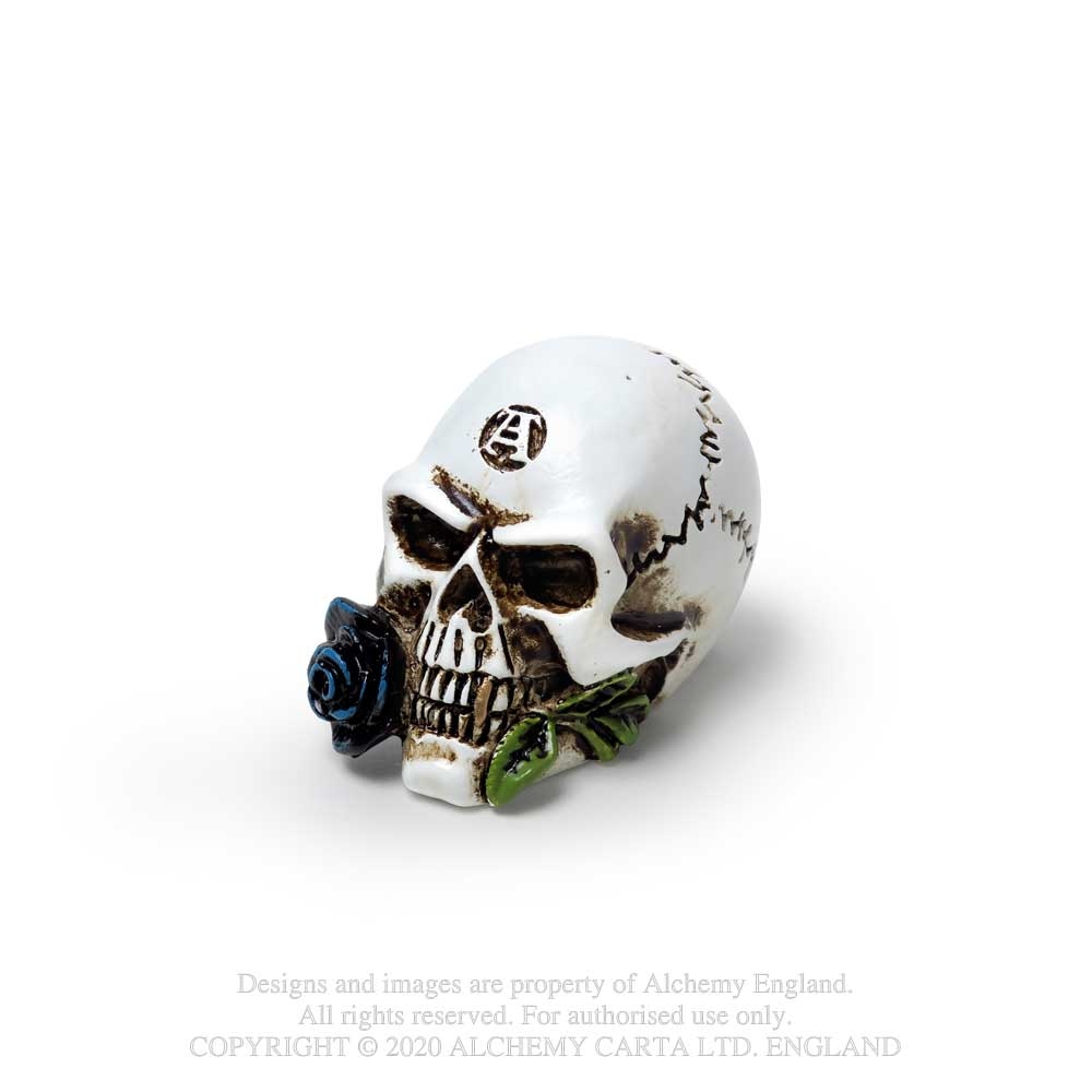 Alchemy - Alchemist Skull Dekorative Figur - Creme